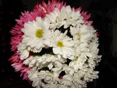 poze Buchete mireasa/ Aranjamente florale