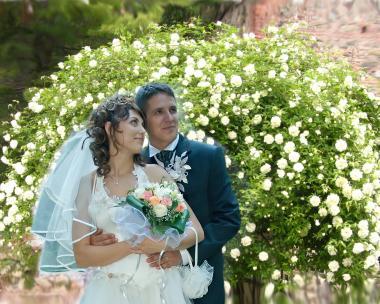 poze Fotografii nunta artistice