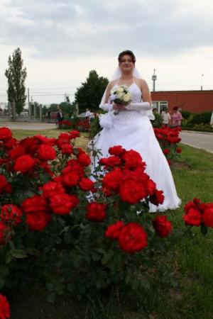 poze Rochii de mireasa