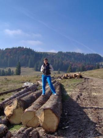 poze Poze nunti utilizatori