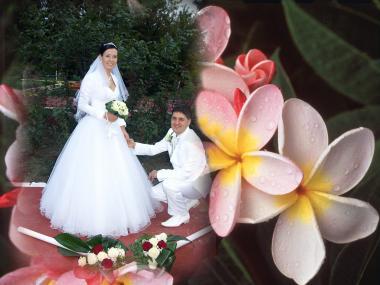 poze Fotografii nunta artistice