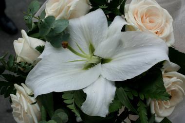 poze Buchete mireasa/ Aranjamente florale