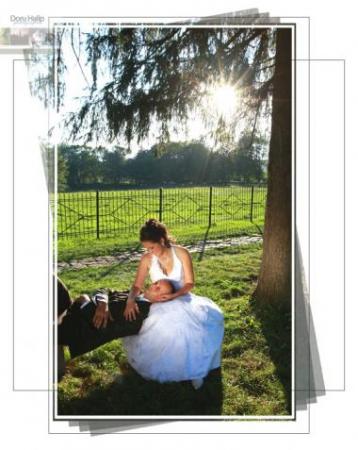 poze Fotografii nunta artistice