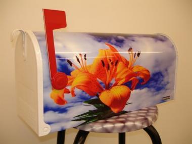 poze Decoratiuni nunti