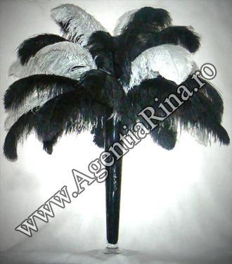 poze Decoratiuni nunti