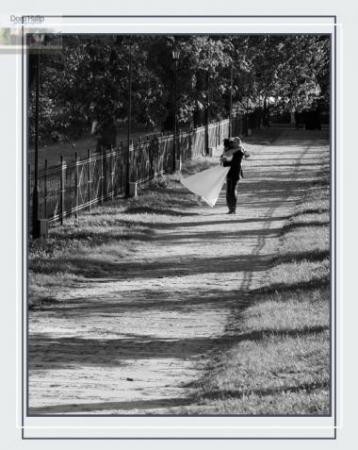 poze Fotografii nunta artistice