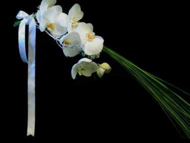 poze Buchete mireasa/ Aranjamente florale