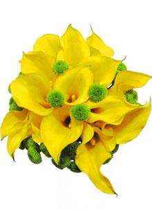 poze Buchete mireasa/ Aranjamente florale