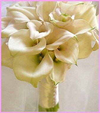 poze Buchete mireasa/ Aranjamente florale
