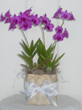 poze Buchete mireasa/ Aranjamente florale
