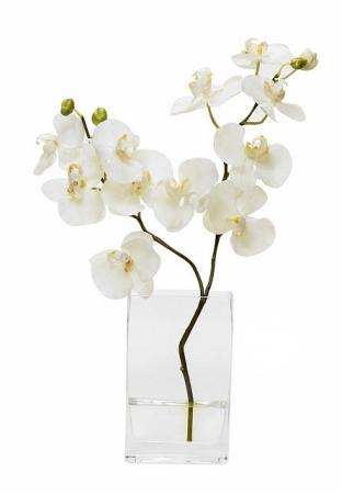 poze Buchete mireasa/ Aranjamente florale