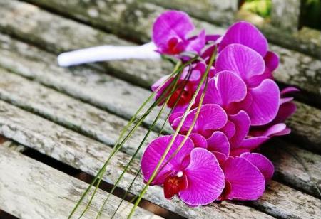 poze Buchete mireasa/ Aranjamente florale