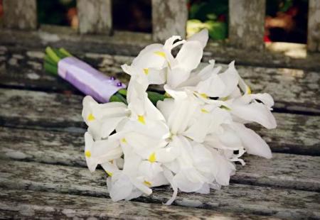 poze Buchete mireasa/ Aranjamente florale