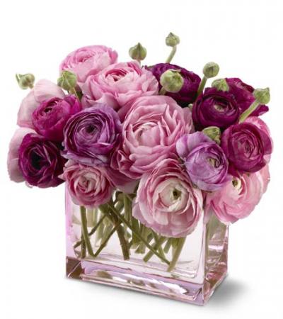 poze Buchete mireasa/ Aranjamente florale