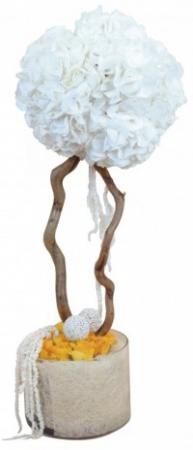 poze Buchete mireasa/ Aranjamente florale