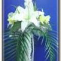 Buchete mireasa/ Aranjamente florale