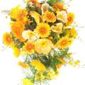 Buchete mireasa/ Aranjamente florale