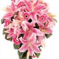 Buchete mireasa/ Aranjamente florale