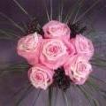 Buchete mireasa/ Aranjamente florale