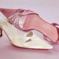 Pantofi nunta