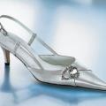 Pantofi nunta