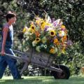 Buchete mireasa/ Aranjamente florale
