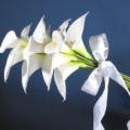 Buchete mireasa/ Aranjamente florale