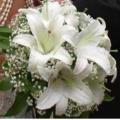 Buchete mireasa/ Aranjamente florale