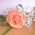 Buchete mireasa/ Aranjamente florale