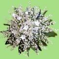 Buchete mireasa/ Aranjamente florale