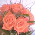 Buchete mireasa/ Aranjamente florale