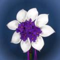 Buchete mireasa/ Aranjamente florale