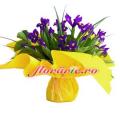 Buchete mireasa/ Aranjamente florale