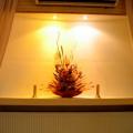 Decoratiuni nunti