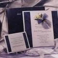 Invitatii nunta/ Carduri nunti