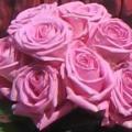 Buchete mireasa/ Aranjamente florale