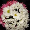 Buchete mireasa/ Aranjamente florale