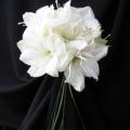 Buchete mireasa/ Aranjamente florale