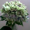 Buchete mireasa/ Aranjamente florale
