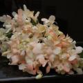 Buchete mireasa/ Aranjamente florale