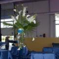 poze Buchete mireasa/ Aranjamente florale