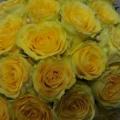 poze Buchete mireasa/ Aranjamente florale