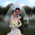 Fotografii nunta artistice