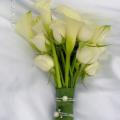 poze Buchete mireasa/ Aranjamente florale