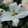 poze Buchete mireasa/ Aranjamente florale