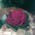 poze Buchete mireasa/ Aranjamente florale