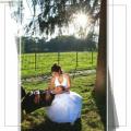 Fotografii nunta artistice