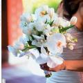 poze Buchete mireasa/ Aranjamente florale