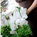 poze Buchete mireasa/ Aranjamente florale