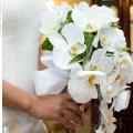 poze Buchete mireasa/ Aranjamente florale